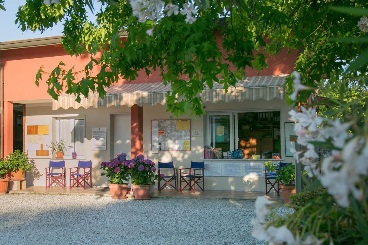 Oasi Camping 3*